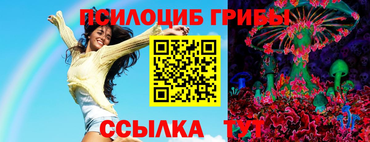 Ступино  Псилоцибиновые грибы GOLDEN TEACHER  наркотики  Вход с VPN 